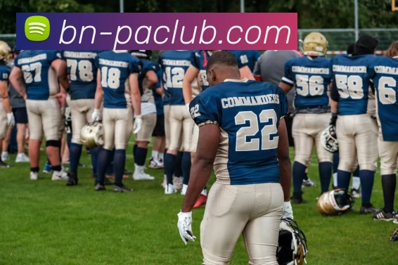 App Interface Preview